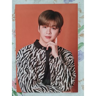 [แท้/พร้อมส่ง] โปสการ์ด คังแดเนียล Kang Daniel The 1st Art Book Never Standing Still Postcard Mystic ver.