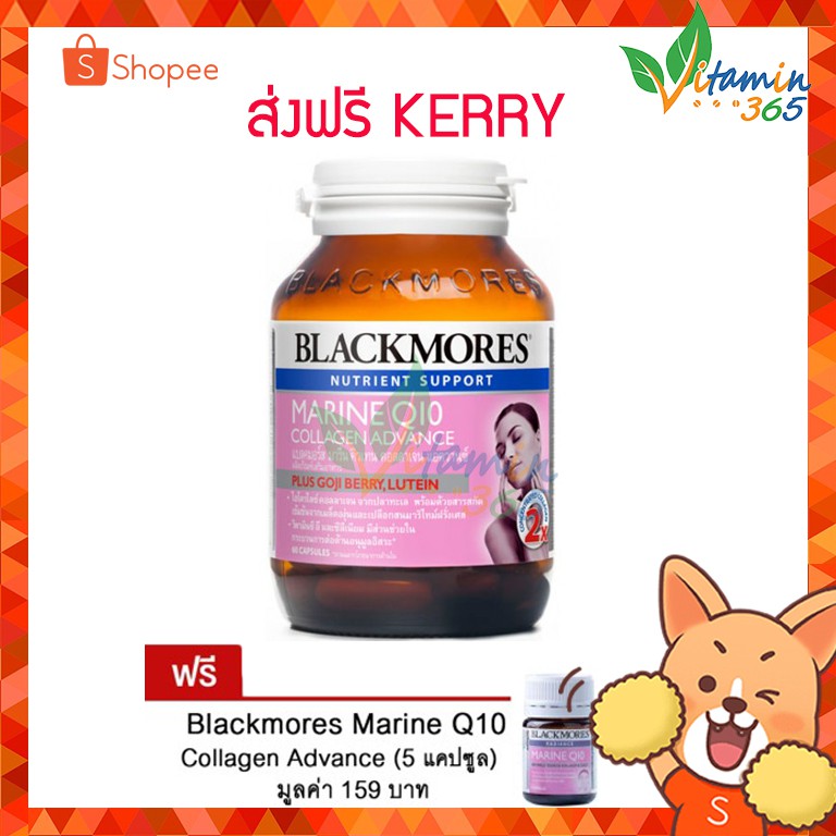 Blackmores Marine Q10 Collagen Absolute 60 Caps.