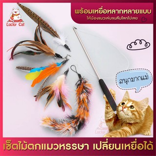 LuckyKat ของเล่นแมว เซ็ตไม้ตกแมวหรรษา เปลี่ยนเหยื่อได้ ไม้ยืด หดไม้ พร้อมเปลี่ยนเหยื่อให้น้องแมวเล่นเพลิน เกินห้ามใจ