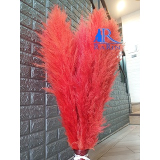 Rarin ดอกเลาย้อม สีเเสด (1 ก้าน) ขนาด 90 cm. เป็นดอกไม้ธรรมชาติ ดอกฟุ้งฟิ้ง ใช้ประดับห้อง งานแต่ง DIY