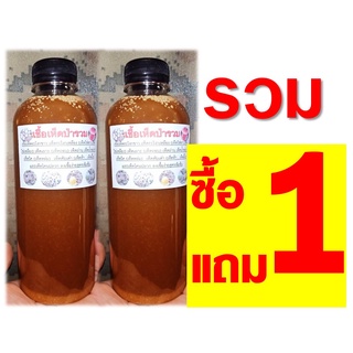 เชื้อเห็ดรวม ซื้อ 1 ขวด แถม 1 ขวด (ประกอบด้วย เห็ดระโงก เห็ดก่อ เห็ดแดง เห็ดตะไค เห็ดผึ้ง เห็ดเผาะ และเห็ดโคนปลวก)