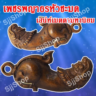 ปลัดหัวชะมดเพชรพญาธร หรือ ทิพยาธร จัดส่ง 1-3 วันได้รับสินค้า