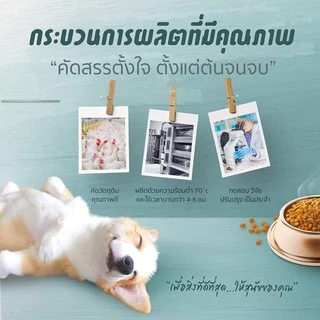 Jerhigh meat as meals อาหารเม็ดนิ่ม มี 5 รส ขนาด 1.2 Kg
