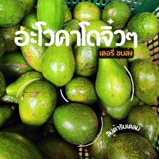 อะโวคาโดจิ๋วๆ 3 กิโลกรัม - 99 บาท (27-35ลูกต่อกล่อง)