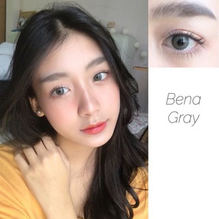 คอนแทคเลนส์ (kitty kawaii) 🌼 Bigeye Bena Gray 🌼สายตาปกติถึง-600