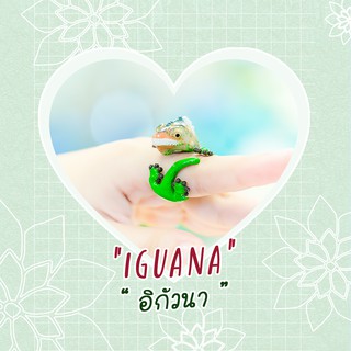 Ring / แหวน : Iguana / อิกัวนา