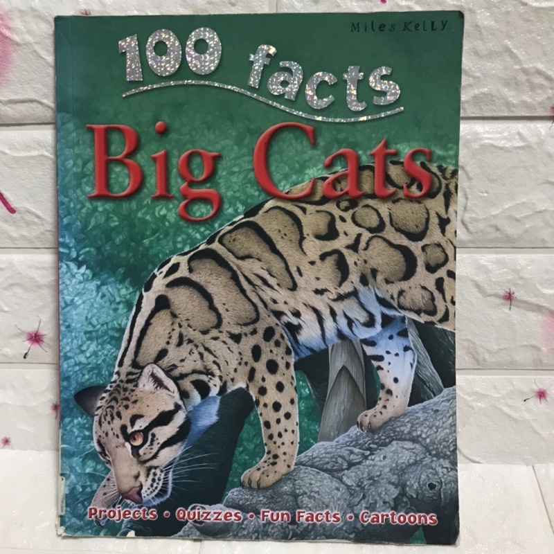 100 facts Big Cats ปกอ่อนมือสอง-af4/3