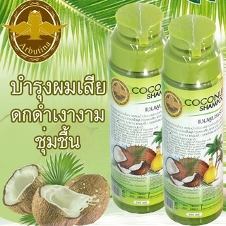 แชมพู มะพร้าว Arbutina coconut Shampoo 250 ml.