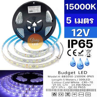 ไฟเส้น LED STRIP แสง ขาวอมฟ้า 15000K 12V ซิลิโคลน IP65 ยาว 5เมตร รหัส:K-BB5050-15000K-IP65 (BUDGET)