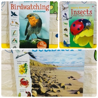 รวมปก Usborne Naturetrail : insects &amp; other Creepy-crawlies ปกอ่อน