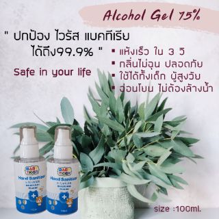 เจลแอลกอฮอร์ แพค6ขวด /100ml.