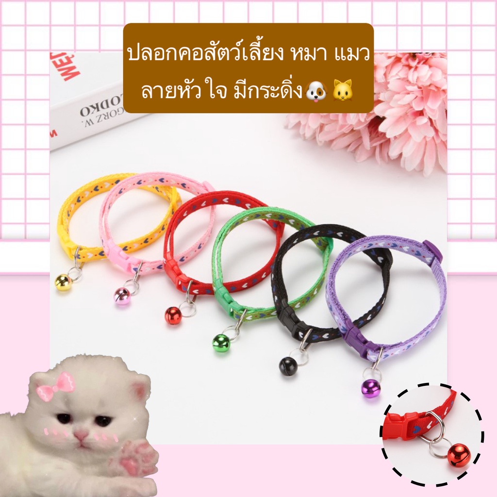 PP-392 ปลอกคอสัตว์เลี้ยง หมา แมว ลายหัวใจ พร้อมกระดิ่ง ปลอกคอแมวน่ารัก สีสันสดใส ราคาประหยัด พร้อมส่ง🥰💥