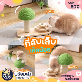 [พร้อมส่ง] รางบอลไม้เห็ดลับเล็บ ฝนเล็บแมว ที่ลับเล็บแมว ของเล่นแมว แผ่นลับเล็บแมว ลับเล็บแมว รางบอลแมว เก็บปลายทาง 🐱❤️