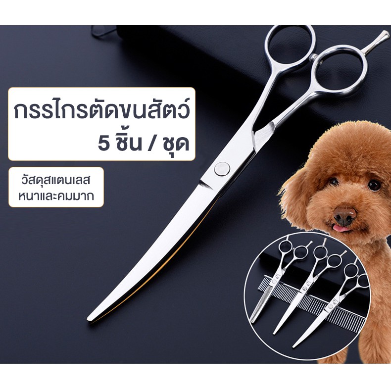 [สแตนเลสแท้หนามาก] กรรไกรตัดขนสุนัข กรรไกรตัดขนสัตว์