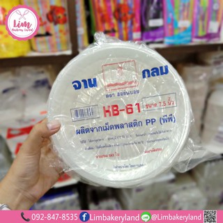 ฮอร์นบอยจานเรียบใสPP-61x50ใบ P0-605606