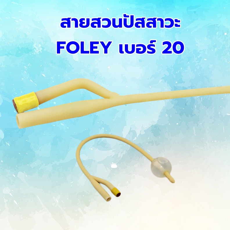สายสวนปัสสาสะ FOLEY CATHETHER