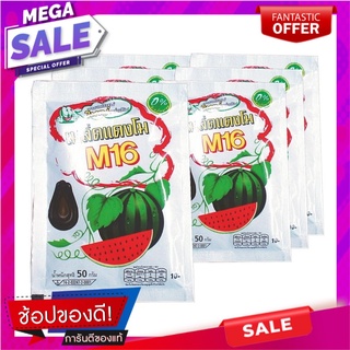 เอ็ม16 เมล็ดแตงโมอบ 50 กรัม แพ็ค 6 ซอง M16 Black Watermelon Seed 40 g x 6