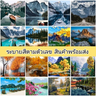 ภาพระบายสีตามตัวเลข ขนาด 40×50 ซม. ขึงเฟรมไม้พร้อมอุปกรณ์