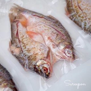 ปลาส้มปลาตะเพียน 1 แพค 2 ตัว  จัดส่งเร็ว สินค้าใหม่ทุกวัน รสชาติอร่อย