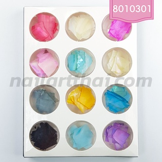 เปลือกหอยแผ่นใหญ่ 12 สี