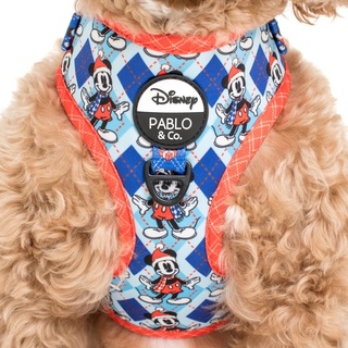 Pablo and Co Dog Harness สายรัดอกสุนัข ลายดิสนีย์ของแท้