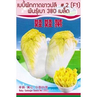 เมล็ด เบบี้ผักกาดขาวปลี #.2   Baby Chinese Cabbane พันธุ์เบา สายพันธุ์ F1 บรรจุ : 380เมล็ด