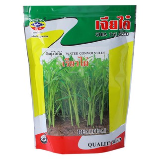 MORNING GLORY SEED CHIATAI 250G เมล็ดพันธุ์ เจียไต๋ ผักบุ้งจีนเรียวไผ่ 1 กิโลกรัม เมล็ดพันธุ์ ปุ๋ยและเมล็ดพันธุ์ สวนและอ