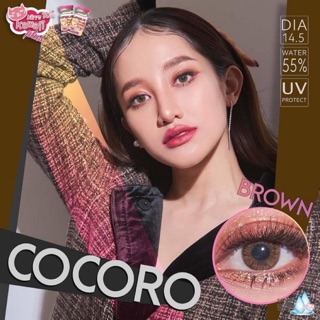 Cocoro brown พร้อมส่งค่าสายตา (Kittykawaii)