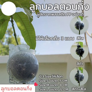 (10ชิ้น) ลูกบอลตอนกิ่ง อุปกรณ์ตอนกิ่ง อุปกรณ์ ตอนกิ่ง smart farm