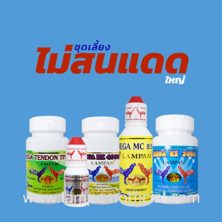 ชุดเลี้ยง ไม่สนแดด "ใหญ่" #ยาไก่ #ไก่ชน #ยาไก่ชน #ลำปำ #ของแท้100% #สต็อคจากบริษัทโดยตรง