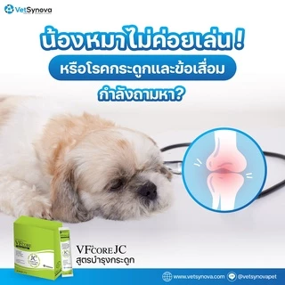 แมวเลีย สุนัขเลีย อาหารเสริมบำรุงร่างกาย VF+ Core 12g