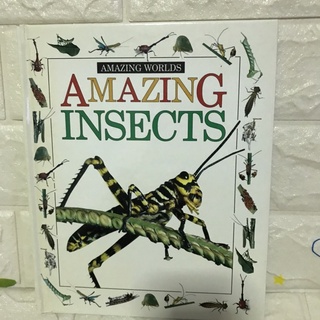 AMAZING WORLDS : AMAZING INSECTS หนังสือความรู้ปกแข็ง