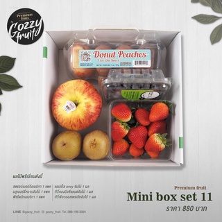 Premium fruit Mini box set 11