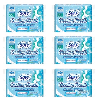 (แพ็ค6ห่อ) โซฟี ผ้าอนามัย คูลลิ่ง เฟรชสลิม 25 ซม. มีปีก ได้ทั้งหมด 30 ชิ้น ผ้าอนามัย