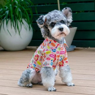 Schnauzer เสื้อผ้าสัตว์เลี้ยง ขนาดเล็ก ระบายอากาศได้ดี แฟชั่นฤดูร้อน สําหรับสุนัข แมว