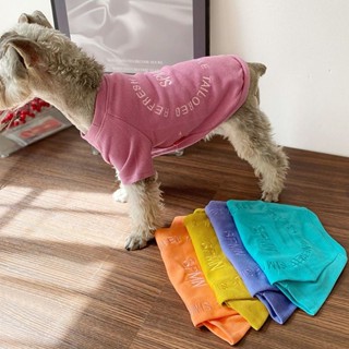 เสื้อกันหนาว แบบบาง ปักลาย Schnauzer Teddy Bichon Yorkshire แฟชั่นฤดูใบไม้ผลิ และฤดูใบไม้ร่วง สําหรับสัตว์เลี้ยง สุนัข แมว