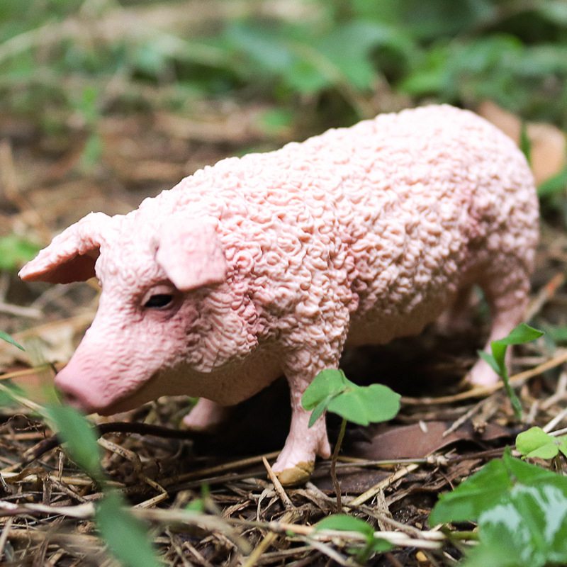 ของเล่นโมเดลสัตว์ คาปิบารา แพะ อายน่า ไฝจําลอง เพื่อการศึกษา สําหรับเด็ก - รูปที่ 2