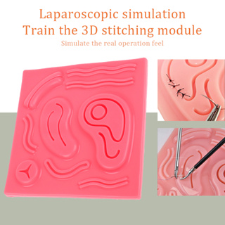 Laparoscopy โมดูลซิลิโคนจําลอง 3D สําหรับฝึกฝนผิวหนัง