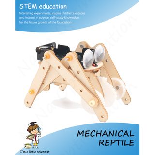 Stem ของเล่นเด็ก ☆ โมเดลของเล่นวิทยาศาสตร์ แฮนด์เมด DIY เสริมการเรียนรู้วิทยาศาสตร์ สําหรับเด็ก