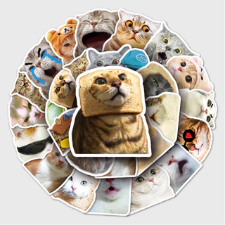 สุ่ม 50 ชิ้นแมวตลก DIY Creative มอเตอร์/รถ/หมวกกันน็อกสติกเกอร์ Home Decal สติกเกอร์กันน้ํา