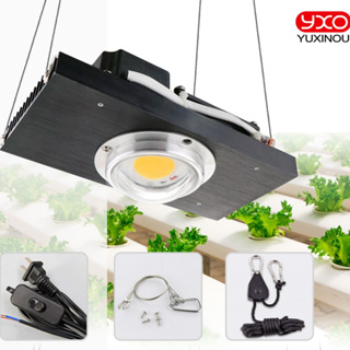 Cxb3590 โคมไฟเร่งการเจริญเติบโตของสเปกตรัม LED COB 100W 200W สําหรับปลูกพืชในร่ม เรือนกระจก