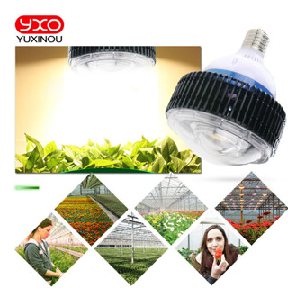 Cob CXB3590 โคมไฟ LED 100W 3000k 3500k ฟูลสเปกตรัม สําหรับปลูกพืชในร่ม