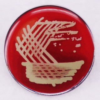 เข็มกลัดติดปกเสื้อ ลาย E.coli Petri Dish in Microbiology