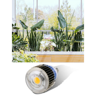 บอร์ดไฟ LED CXA2530CXB2540 CXA3590 100W 12000LM 3500K สําหรับปลูกพืชในร่ม