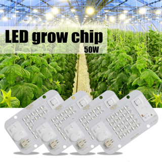 โคมไฟ LED 50W 660NM COB Samsung 220V สําหรับปลูกพืช เพาะปลูกเต็นท์