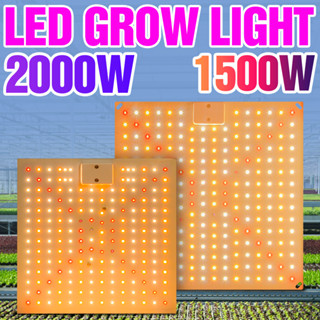 โคมไฟ LED สเปกตรัม 2000W สําหรับปลูกพืชไฮโดรโปนิก