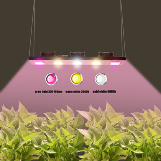 โคมไฟปลูกต้นไม้ ไฮโดรโปนิก LED 300W DOCB แบบเปลี่ยน สําหรับปลูกพืชในร่ม HPS/HID