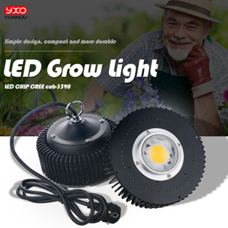 โคมไฟ LED 100W COB CXB3590 3000k 3500k 5000K สําหรับปลูกพืชในร่ม