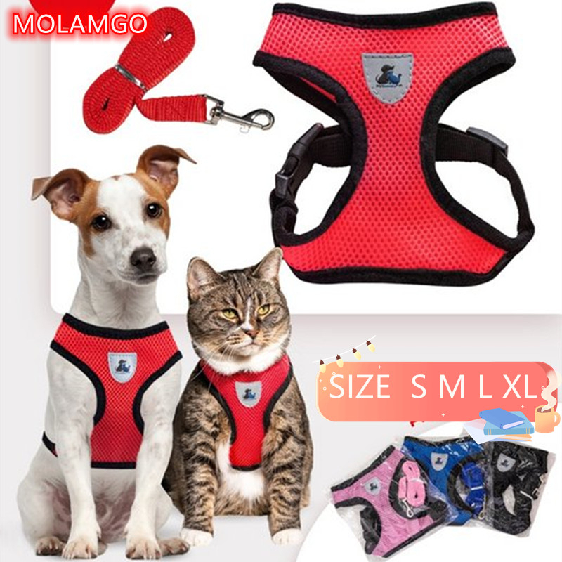 MOLAMGO Cat Harness Rabbite Harness Leash Mesh Dog Harness with Leash