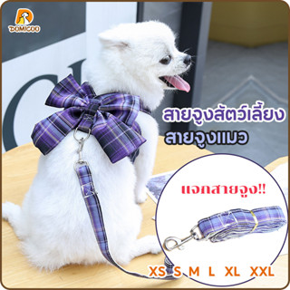 Domicoo สายรัดอกแมว สายจูงสัตว์เลี้ยง สัตว์เลี้ยงสายรัดหน้าอกสัตว์เลี้ยงสายรัดหน้าอกเจ้าหญิงลมลูกไม้สายรัดหน้าอก